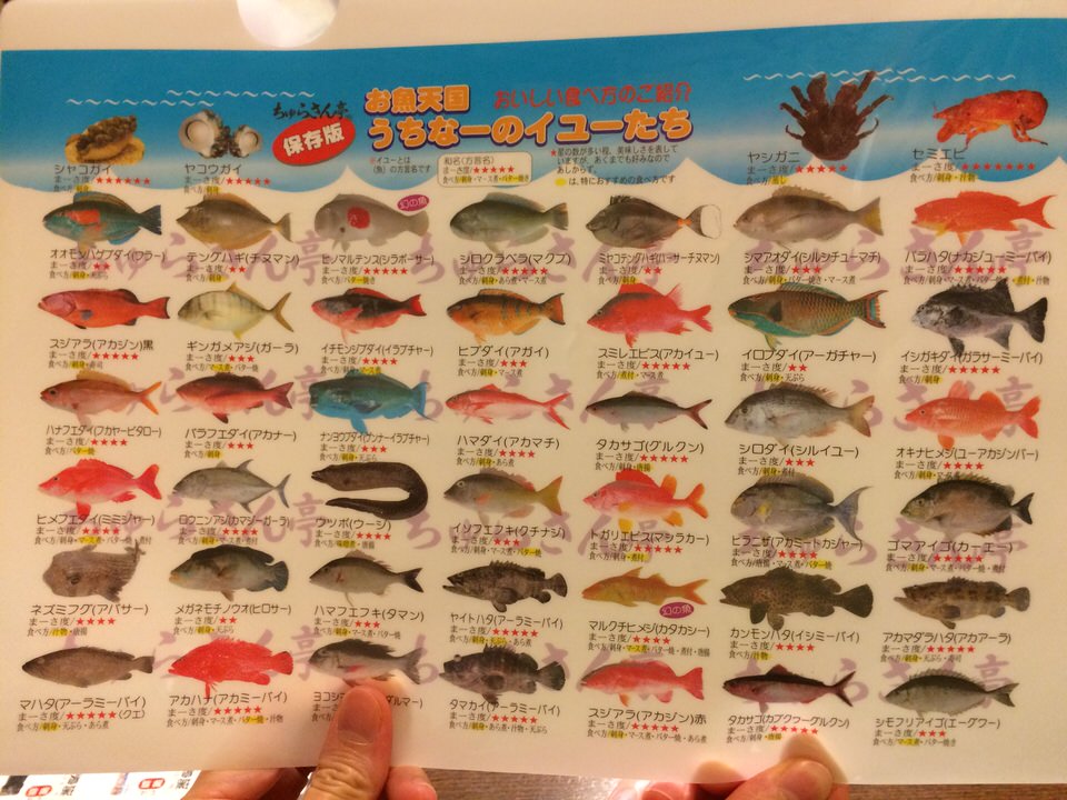 お魚天国 うちなーのイユー達を堪能できるちゅらさん亭 出不精夫婦が暮らすように旅するブログ